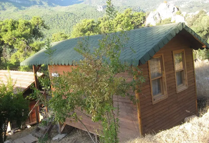 Bungalow Elma with green roof seen from the slope