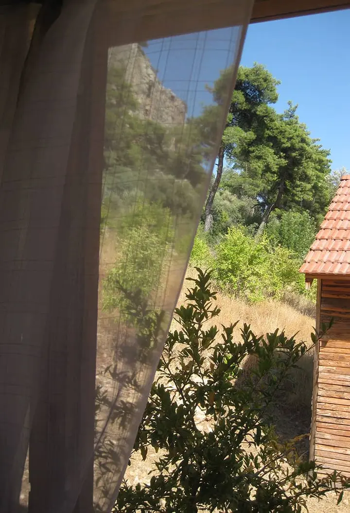 Vorhang und Kiefern, aus dem Bungalow Nar gesehen