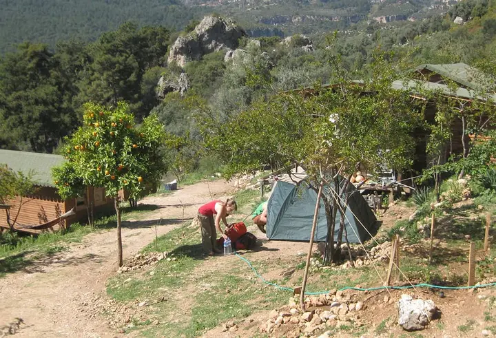 Person at a tent among trees on a tent pitch
