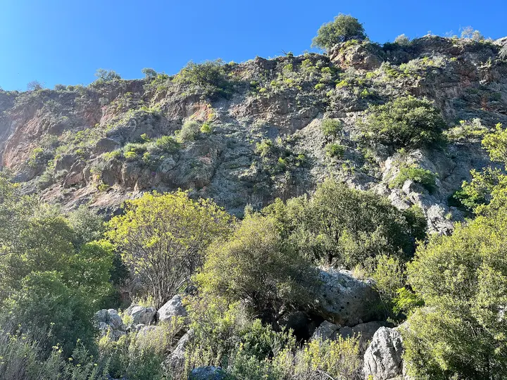 Sector Mandela in Geyikbayırı